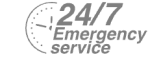 24/7 Emergency Service Pest Control in Gravesend, Northfleet, DA11. Call Now! 020 8166 9746